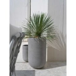 Cody Plant Vase - Ridged Dark Grey -Plants Sale Store Cody Tall Planter Ridged Dark Outdoor Palm