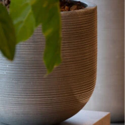Cody Plant Pot - Ridged Dark Grey -Plants Sale Store CodyPlantPot RidgedDarkGrey 1