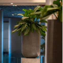 Cody Plant Vase - Ridged Dark Grey -Plants Sale Store CodyPlantVase RidgedDarkGrey 6