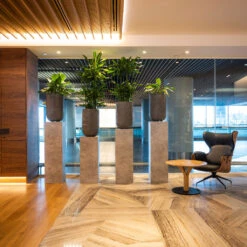 Cody Plant Vase - Ridged Dark Grey -Plants Sale Store CodyPlantVase RidgedDarkGrey 9