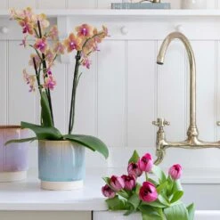 Copenhagen Plant Pot - Aqua -Plants Sale Store Copenhagen Plant Pot Aqua 15.5 x 16cm