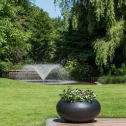 Cora Natural Bowl Planter - Black -Plants Sale Store CoraNaturalBowlPlanter Black 2