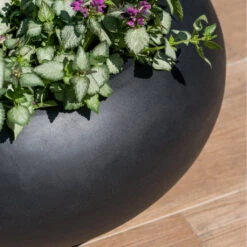 Cora Natural Bowl Planter - Black -Plants Sale Store CoraNaturalBowlPlanter Black 4