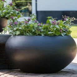 Cora Natural Bowl Planter - Black -Plants Sale Store CoraNaturalBowlPlanter Black 5