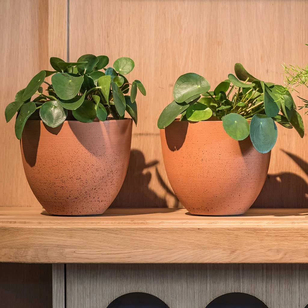 Coral Refined Planter - Canyon Orange 4 Coral Refined Planter - Canyon Orange - Image 2