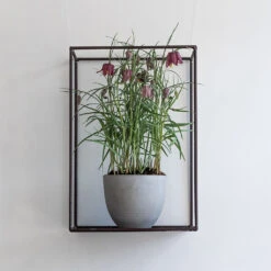 Coral Refined Planter - Clouded Grey 9 Coral Refined Planter - Clouded Grey -Plants Sale Store Coral Refined Planter Clouded Grey Lifestyle