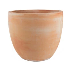Terracotta Plant Pot -Plants Sale Store Couple extra large