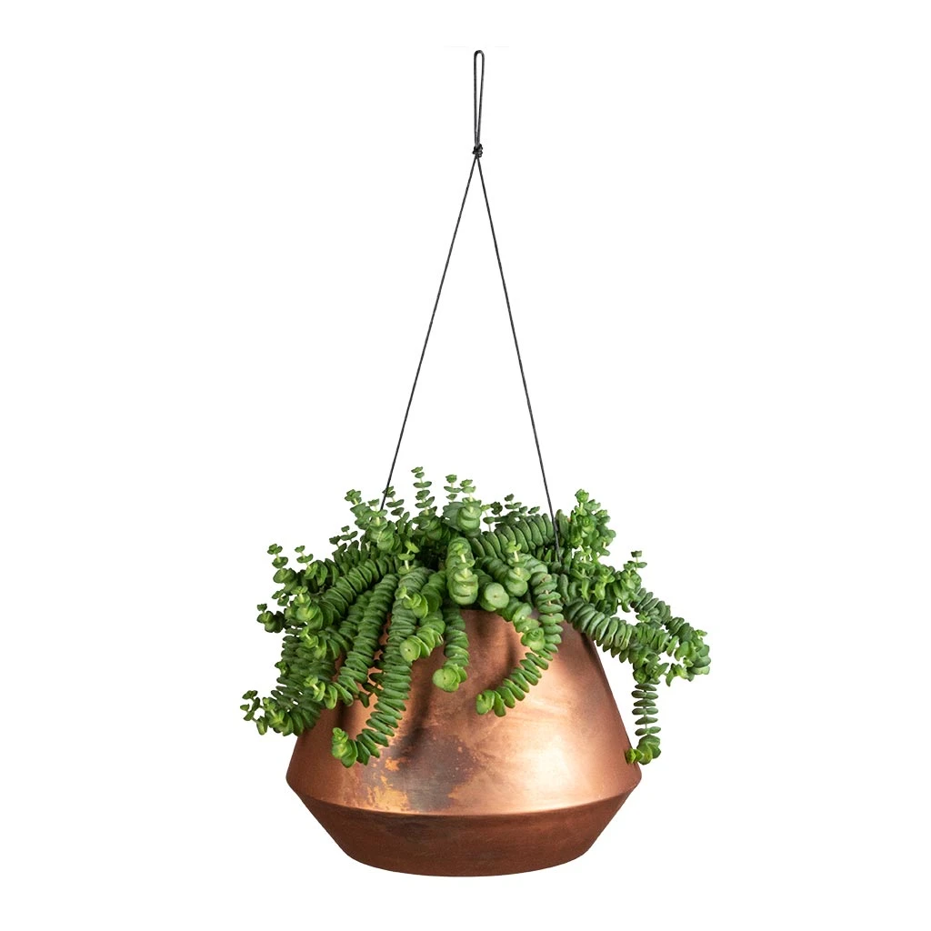 Soho Hanging Plant Pot - Aged Copper 4 Soho Hanging Plant Pot - Aged Copper - Image 2