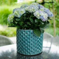 Dion Planters - Set Of 3 - Ocean Blue 19 Dion Planters - Set Of 3 - Ocean Blue -Plants Sale Store Dion Planter Ocean Blue Outdoor Plant