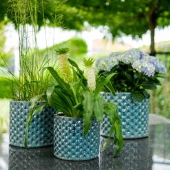Dion Planters - Set Of 3 - Ocean Blue 15 Dion Planters - Set Of 3 - Ocean Blue -Plants Sale Store Dion Planters Set3 Ocean Blue Outdoor Plants