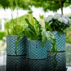 Dion Planters - Set Of 3 - Ocean Blue 21 Dion Planters - Set Of 3 - Ocean Blue -Plants Sale Store Dion Planters Set3 Ocean Blue Plants