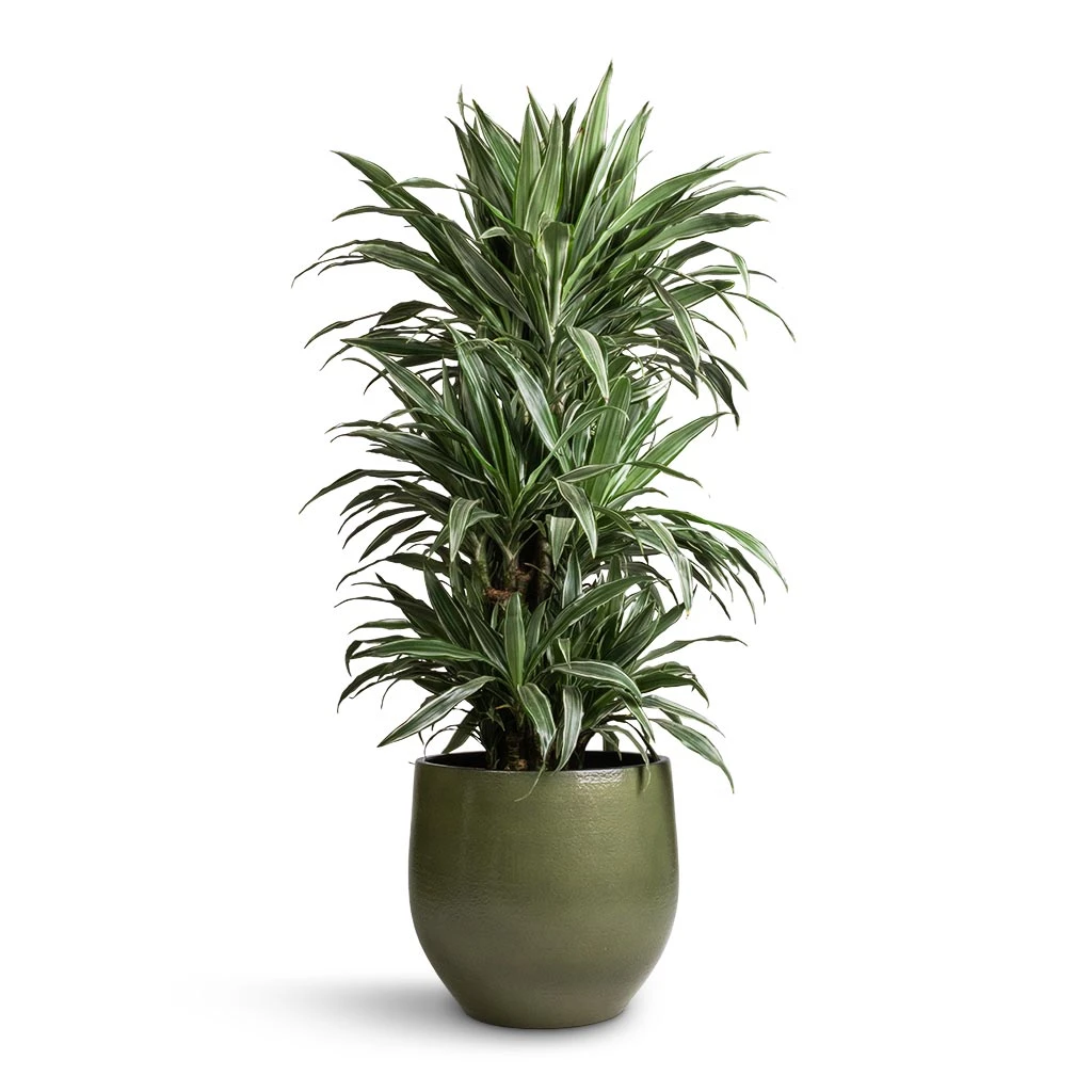 Zembla Plant Pot - Green 15 Zembla Plant Pot - Green - Image 13
