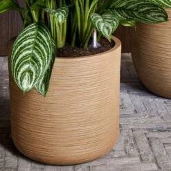 Dune Cylinder Planter - Almond 11 Dune Cylinder Planter - Almond -Plants Sale Store Dune Cylinder Brown Beige Dune Partner Brown Beige 2