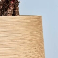 Dune Partner Planter - Almond 27 Dune Partner Planter - Almond -Plants Sale Store Dune Partner Planter Almond Close Up 2 jpg