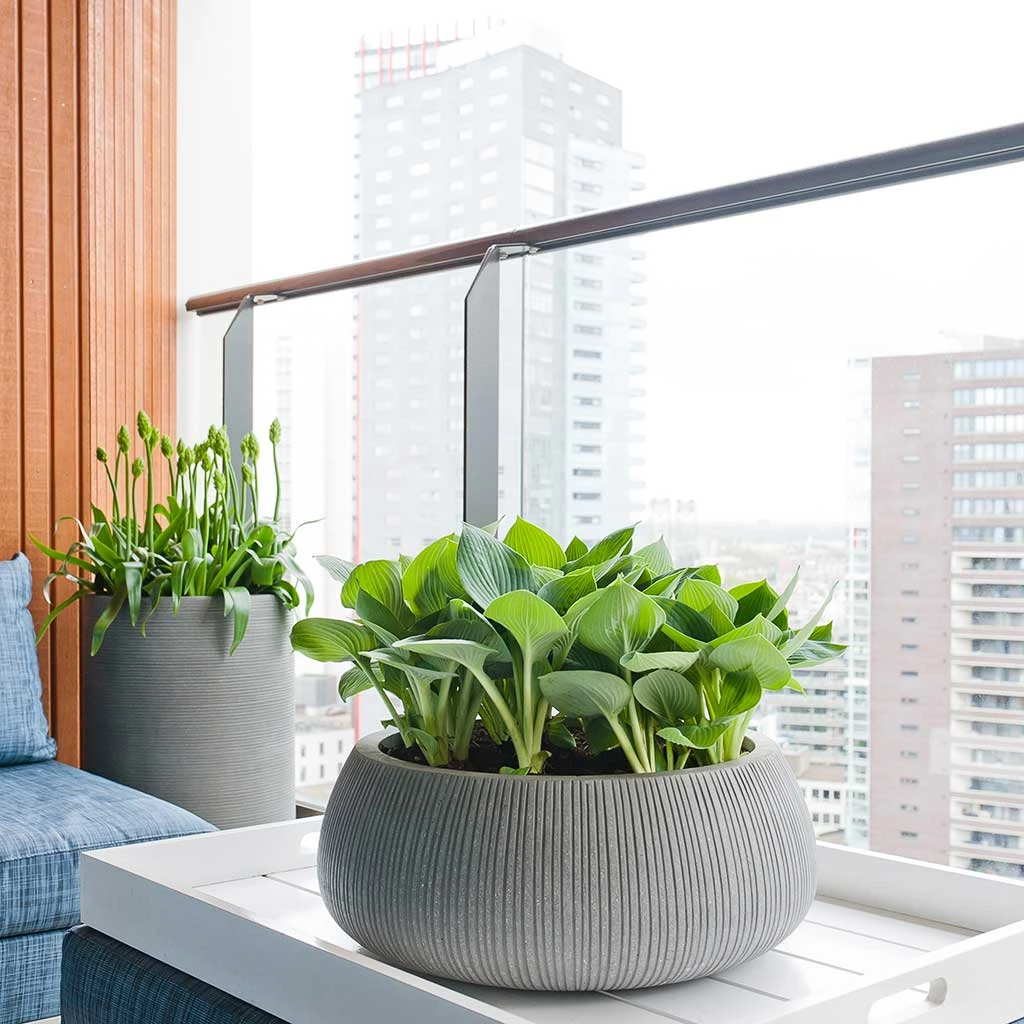 Eileen Plant Bowl - Ridged Dark Grey 4 Eileen Plant Bowl - Ridged Dark Grey - Image 2