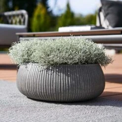 Eileen Plant Bowl - Ridged Dark Grey 10 Eileen Plant Bowl - Ridged Dark Grey -Plants Sale Store Eileen Planter Ridged Dark Grey Outdoor