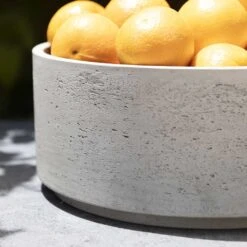 Eli Plant Bowl - Grey Washed -Plants Sale Store Eli Plant Bowl Grey Washed Fruit