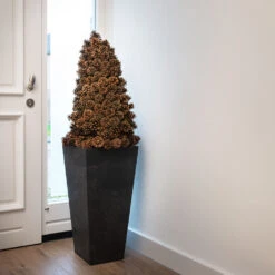 Ella Artstone Tall Planter - Black -Plants Sale Store Ella Artstone Tall Planter Black 1