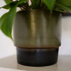 Erik Plant Pot - Dark Olive -Plants Sale Store Erik Olive 4