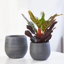 Esra Plant Pot - Graphite 32 Esra Plant Pot - Graphite -Plants Sale Store Esra graphite Lifestyle 1