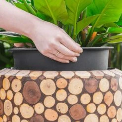 Facets Couple Planter - Ageless -Plants Sale Store Facets Couple Planter Ageless 1