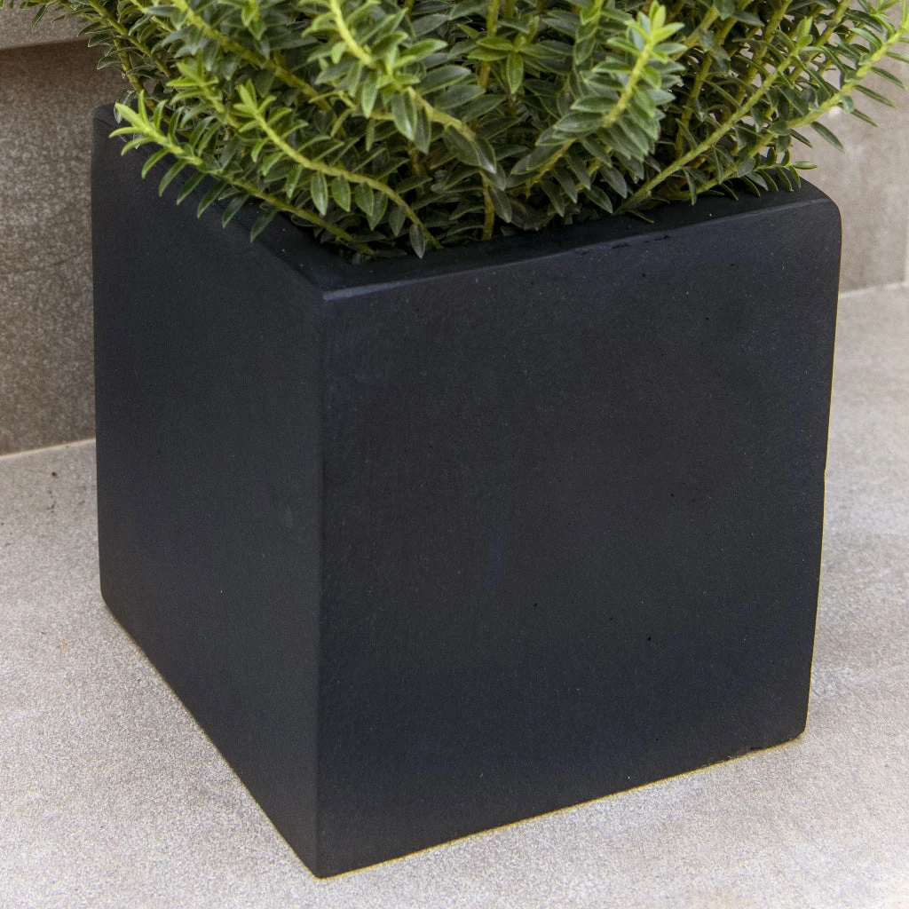 Fleur Natural Planter - Black 4 Fleur Natural Planter - Black - Image 2