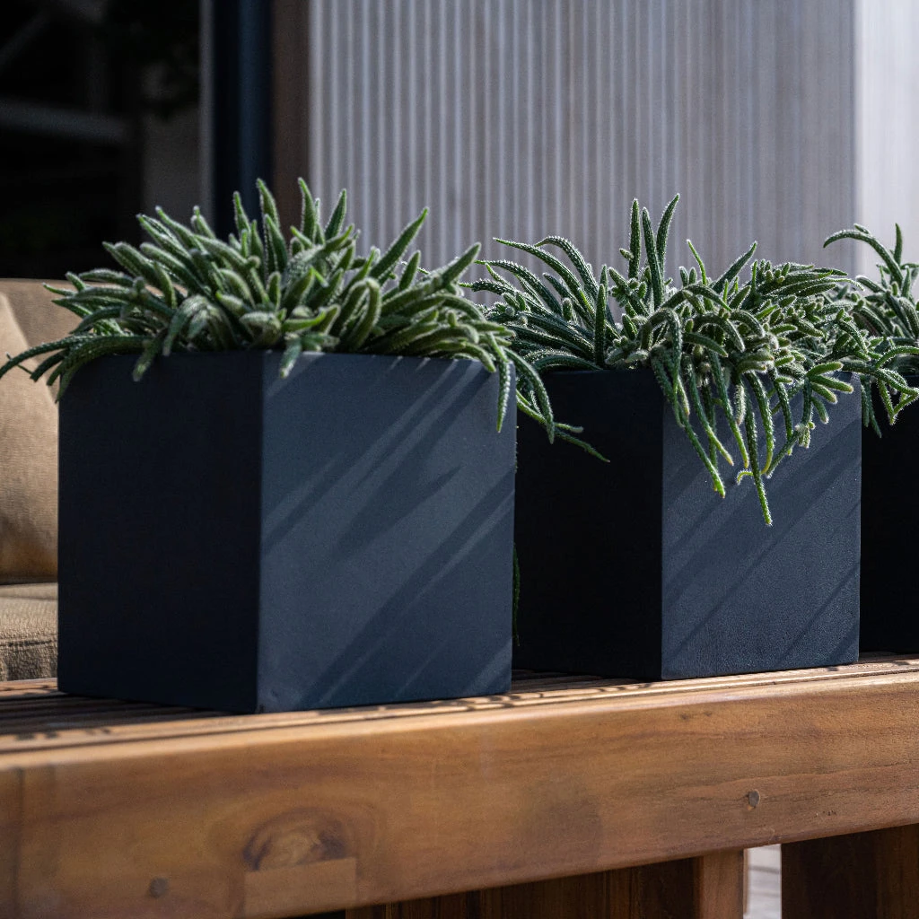 Fleur Natural Planter - Black 10 Fleur Natural Planter - Black - Image 8