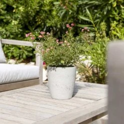 Gerben Plant Pot - Grey Washed -Plants Sale Store Gerben Plant Pot Grey Washed Plant Pot Houseplant