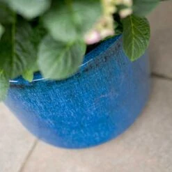 Gilia Planters - Set Of 3 - Blue 16 Gilia Planters - Set Of 3 - Blue -Plants Sale Store Gilia Outdoor Planter Blue Colour