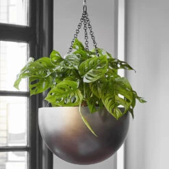 Gradient Hanging Plant Bowl - Matt Coffee -Plants Sale Store Gradient Hanging Bowl Matt Coffee