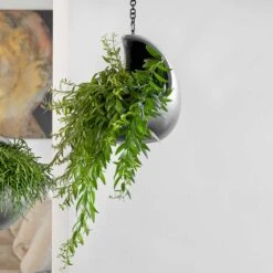 Gradient Hanging Cocoon - Matt Grey -Plants Sale Store Gradient Hanging Matt Grey 2
