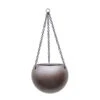 Gradient Hanging Plant Globe - Matt Coffee -Plants Sale Store Gradient Hanging Plant Globe Matt Coffee 24x19cm