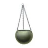 Gradient Hanging Plant Globe - Matt Forest -Plants Sale Store Gradient Hanging Plant Globe Matt Forest 24x19cm
