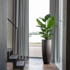 Gradient Partner Planter - Matt Grey -Plants Sale Store Gradient Partner Planter Matt Grey 4