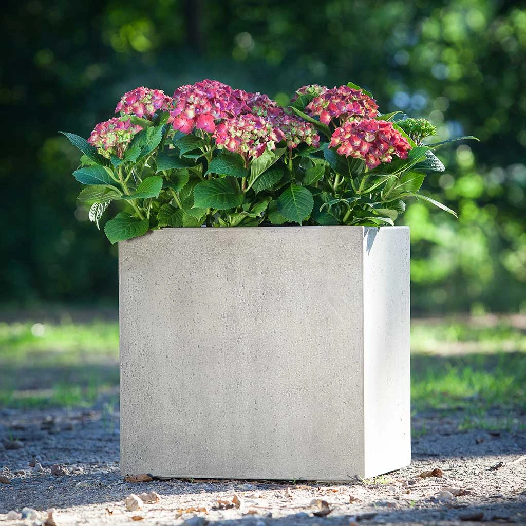 Grigio Cube Planter - Antique White Concrete 4 Grigio Cube Planter - Antique White Concrete - Image 2