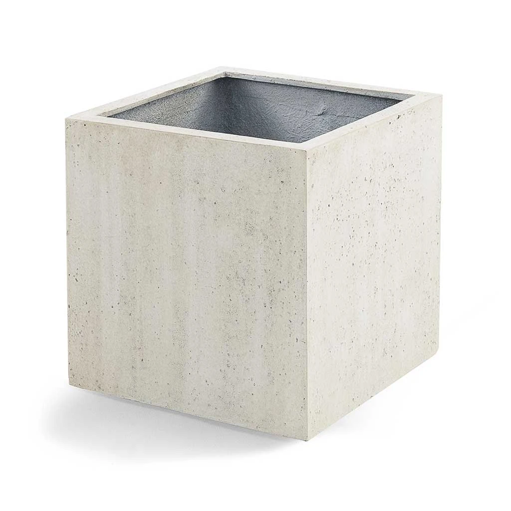 Grigio Cube Planter - Antique White Concrete 6 Grigio Cube Planter - Antique White Concrete - Image 4