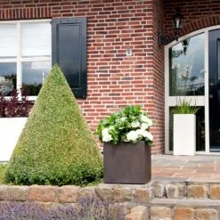 Grigio Cube Planter - Rusty Iron Concrete -Plants Sale Store Grigio Cube Planter Rusty Iron Concrete LS1