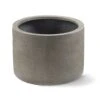 Grigio Cylinder Planter - Natural Concrete -Plants Sale Store Grigio Cylinder Planter Natural Concrete