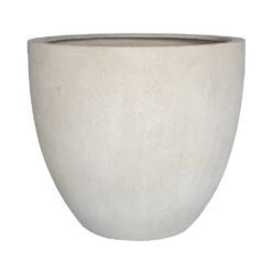 Grigio Egg Pot Planter - Antique White Concrete -Plants Sale Store Grigio Egg Pot Planter Antique White Concrete Style