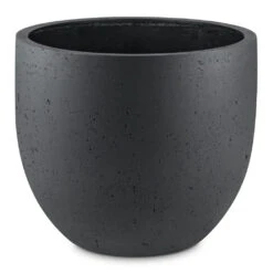 Grigio New Egg Pot Planter - Anthracite Concrete -Plants Sale Store Grigio New Egg Pot Planter Anthracite Concrete 94x80cm