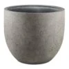 Grigio New Egg Pot Planter - Natural Concrete 2 Grigio New Egg Pot Planter - Natural Concrete -Plants Sale Store Grigio New Egg Pot Planter Natural Concrete 80x66cm