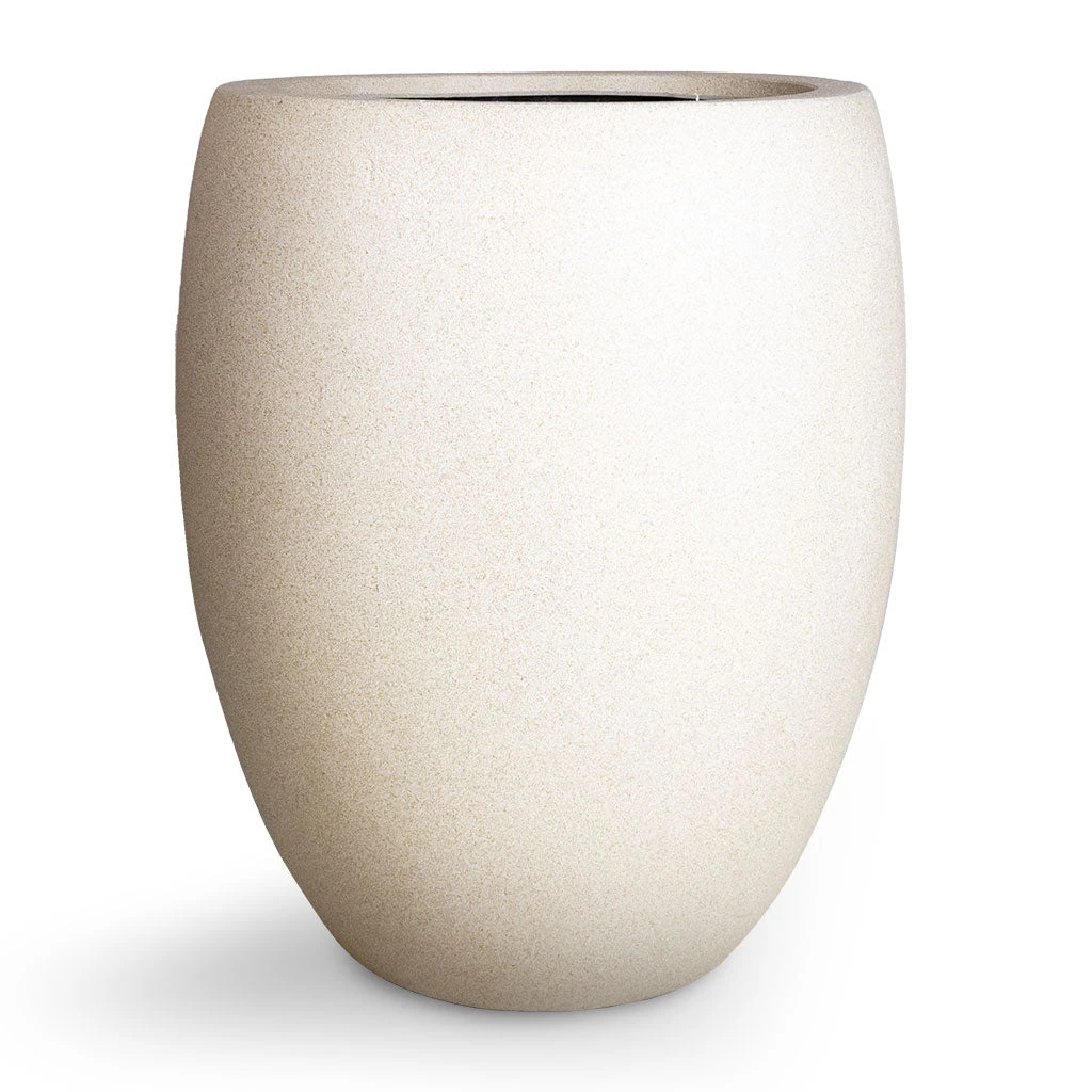 Grigio Tall Balloon Planter - Antique White Concrete 5 Grigio Tall Balloon Planter - Antique White Concrete - Image 3