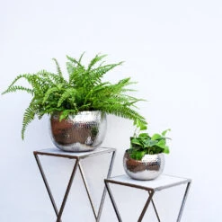 Hammered Bowl - Nickel With Black -Plants Sale Store Hammered Bowl Silver Lifestyle 2