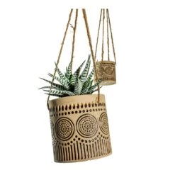 Haworthia Fasciala Alba -Plants Sale Store Haworthia fasciala Alba Syb Hanging Planters Set of 2 Gold