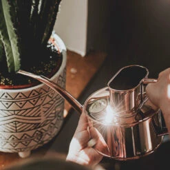 Haws Fazeley Flow Watering Can - One Pint Copper -Plants Sale Store Haws Fazeley Flow One Pint Copper LS