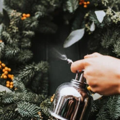 Haws Smethwick Spritzer In Nickel -Plants Sale Store Haws Smethwick Spritzer in Nickel 2