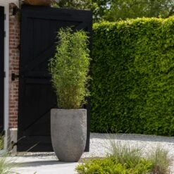 Hayes Mountain Planter - Granite Grey -Plants Sale Store Hayes Mountain Planter Granite Grey Lifestyle 2