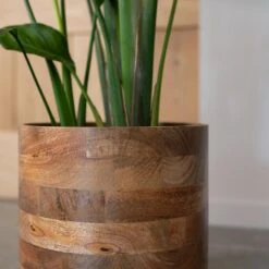 Helle Plant Pot - Natural -Plants Sale Store Helle Natural 2