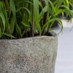 Hunter Mountain Planter - Granite Grey 20 Hunter Mountain Planter - Granite Grey -Plants Sale Store Hunter Mountain Planter Granite Grey Lifestyle 1