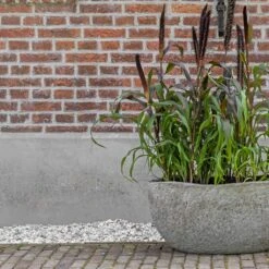 Hunter Mountain Planter - Granite Grey 19 Hunter Mountain Planter - Granite Grey -Plants Sale Store Hunter Mountain Planter Granite Grey Lifestyle 3